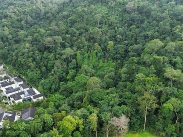 Tanah Pembangunan Mont Kiara Kuala Lumpur 2 Ekar Freehold Rezab Melayu