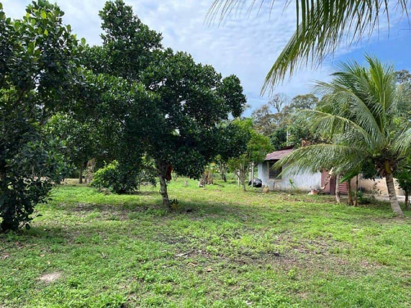 Tanah Pertanian Kuala Linggi Melaka 34,035 sqft