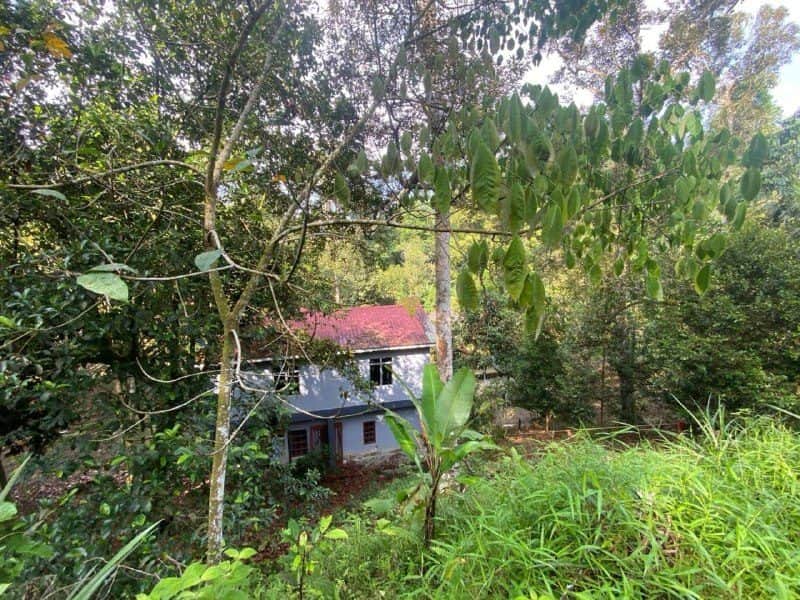 Tanah Pertanian Dusun Tua Hulu Langat Selangor 5.05 Ekar Freehold