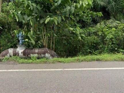 Tanah Pertanian Tepi Jalan Utama Bahau Negeri Sembilan 1 Ekar Freehold