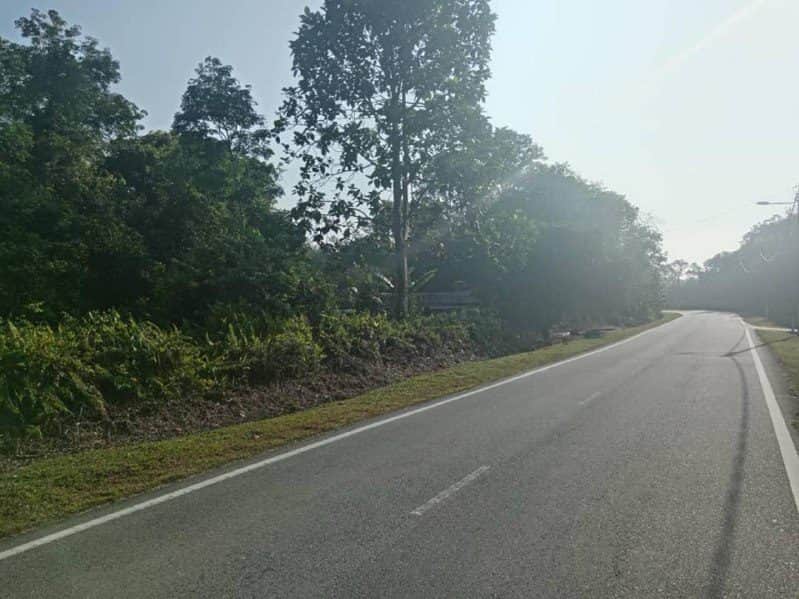 Tanah Pertanian Tanjung Kupang Gelang Patah Johor 61,529 sqft Freehold
