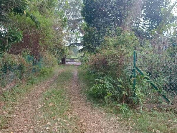 Tanah Kampung Tepi Lencongan Barat Sungai Petani Kedah 10870 sqft Freehold