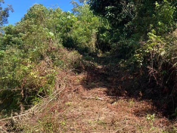 Tanah Pertanian Sri Menanti Kuala Pilah Negeri Sembilan 2.5 Ekar Freehold