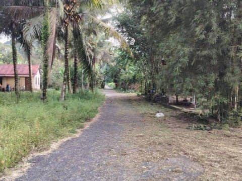 Tanah Pertanian Freehold Sungai Lui Hulu Langat Selangor 22044 sqft