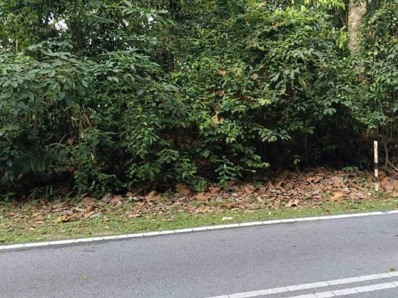 Tanah Pertanian Lenggeng Negeri Sembilan 0.65 Ekar Freehold Tepi Jalan