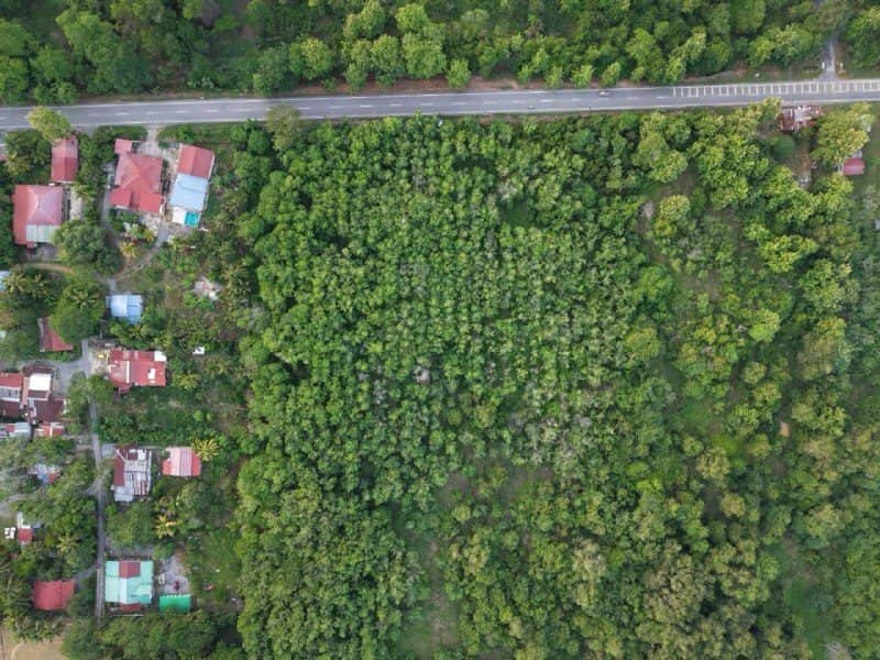 Tanah Pertanian 4 Ekar Titi Tinggi Perlis Freehold Berhampiran UniMAP