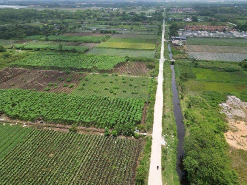 Tanah Pertanian Jalan Johan Setia Klang Selangor 1.027 Ekar Zoning Kediaman Industri
