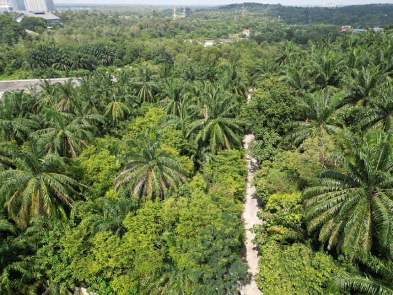 Tanah Bangunan Bukit Damar Dengkil 1.764 Ekar Berhampiran Cyberjaya