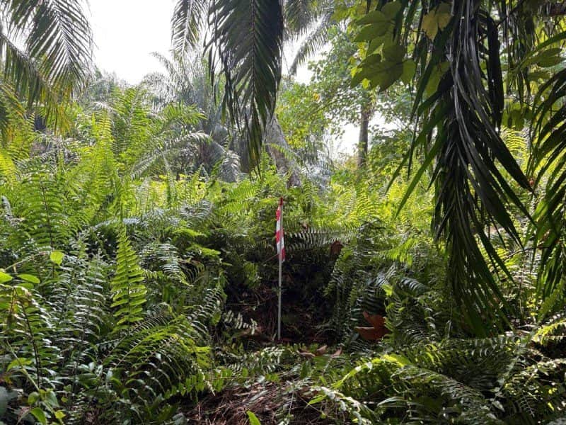 Tanah Pertanian 2.04 Ekar Bukit Gagak Tanjung Dua Belas Selangor Sebelah SKVE