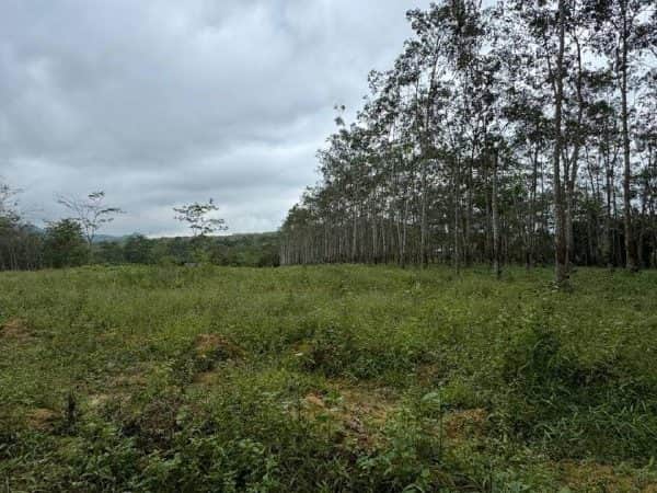Tanah Pertanian Jeneri Sik Kedah 100372 Sqft Freehold Geran Individu