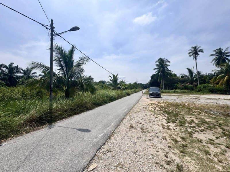 Tanah Pertanian Freehold Assam Jawa Bukit Rotan Kuala Selangor 0.50 Ekar
