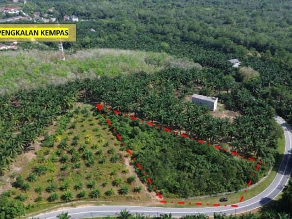 Tanah Pertanian Tepi Jalan Linggi Negeri Sembilan 1.2 Ekar 500 Meter Ke Jeti Pengkalan Kempas