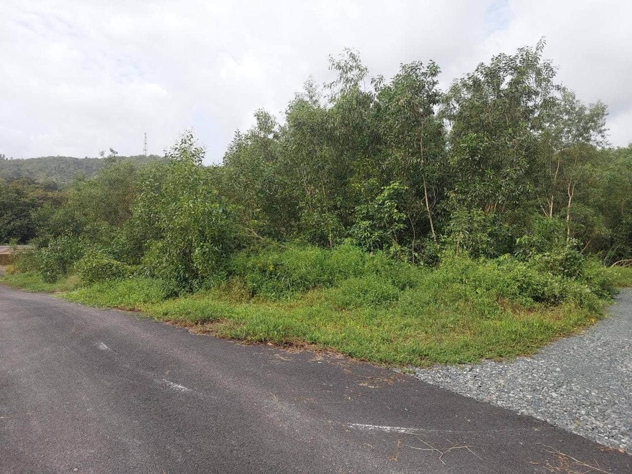 Tanah Bangunan Tepi Pantai Tanjung Jara Dungun Terengganu Freehold