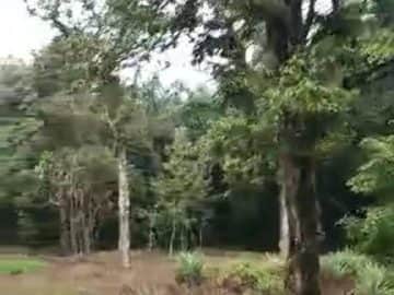Tanah Industri 1.05 Ekar Lebuhraya Sultanah Bahiyah Alor Setar Kedah Freehold Geran Individu