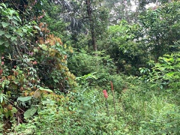 Tanah Pertanian 1.9 Ekar Ampang Tinggi Kuala Pilah Negeri Sembilan Freehold Berhampiran Jalan Besar