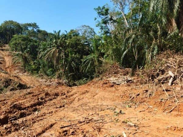 Tanah 1.55 Ekar Tepi Jalan Utama Rembau Titian Bintangor Freehold
