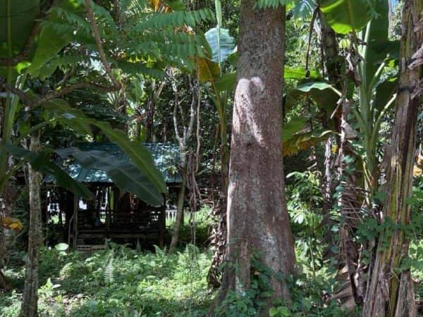 Tanah Dusun Kuala Kangsar Perak 0.32 Ekar Freehold