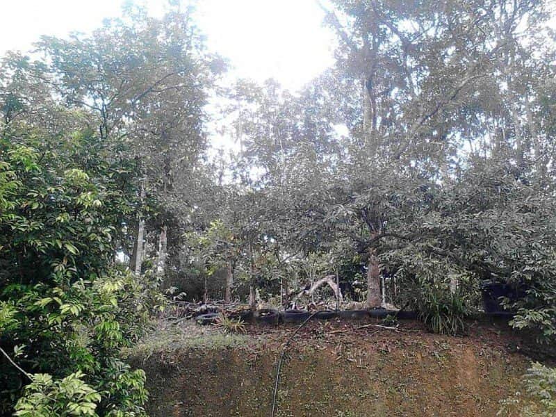 Tanah Pertanian Tepi Jalan Rembau Negeri Sembilan 2.05 Ekar Freehold