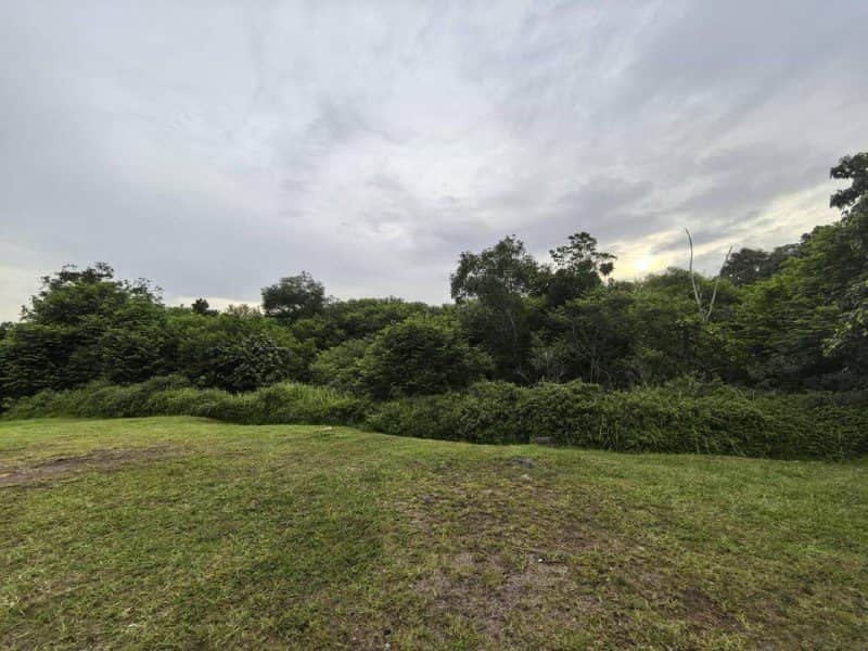 Tanah Pembangunan Masai Johor Bahru Taman Flora Heights Citrine Seri Alam 9.6 Ekar Freehold