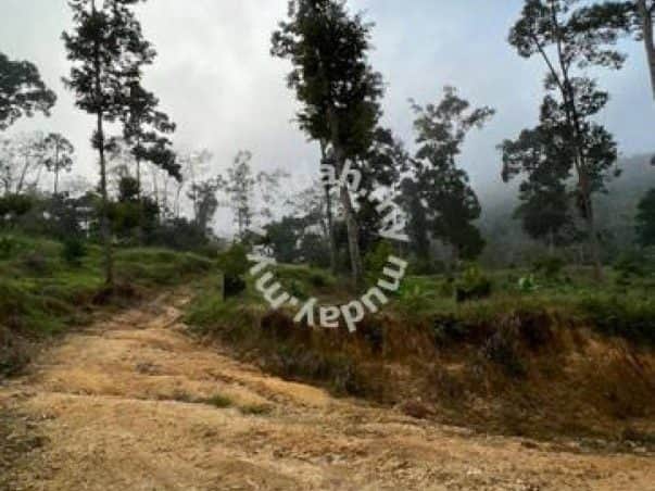 Tanah Pertanian Durian Raub Pahang 9.1 Ekar Freehold