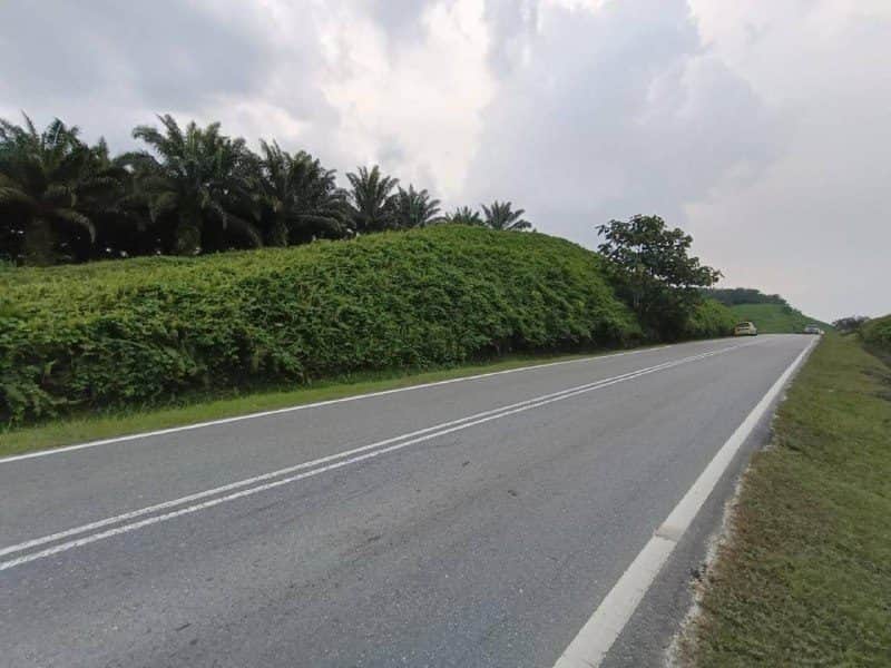 Tanah Pertanian Sengkang Kulai Johor 250 Ekar Freehold