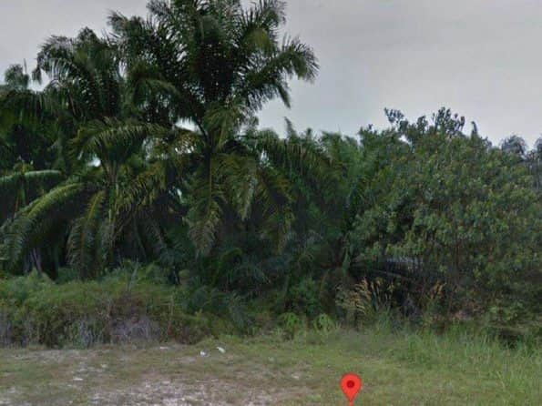 Tanah Sedenak Kulai Johor 1138 Ekar Freehold