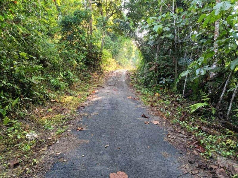 Tanah Bukit 1.18 Ekar Bukit Melintang Kuala Pilah Freehold