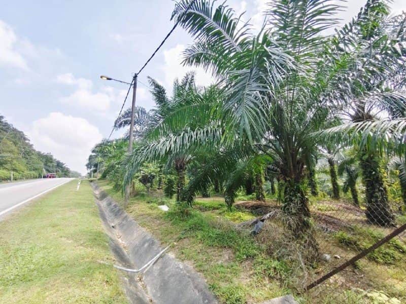 Tanah 3.1 Ekar Jalan Bukit Cerakah U15 Shah Alam