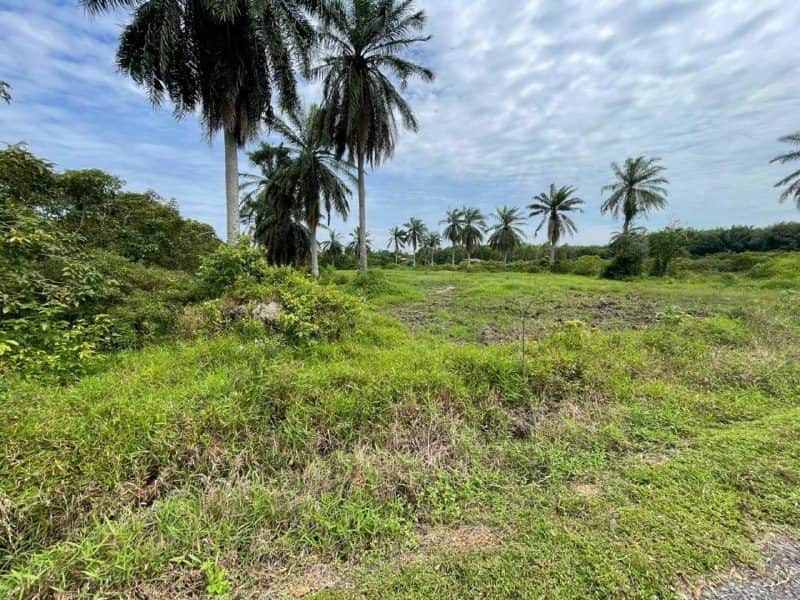 Tanah Kampung 1.26 Ekar Dengan Rumah Sungai Jawi Seberang Perai Selatan Pulau Pinang