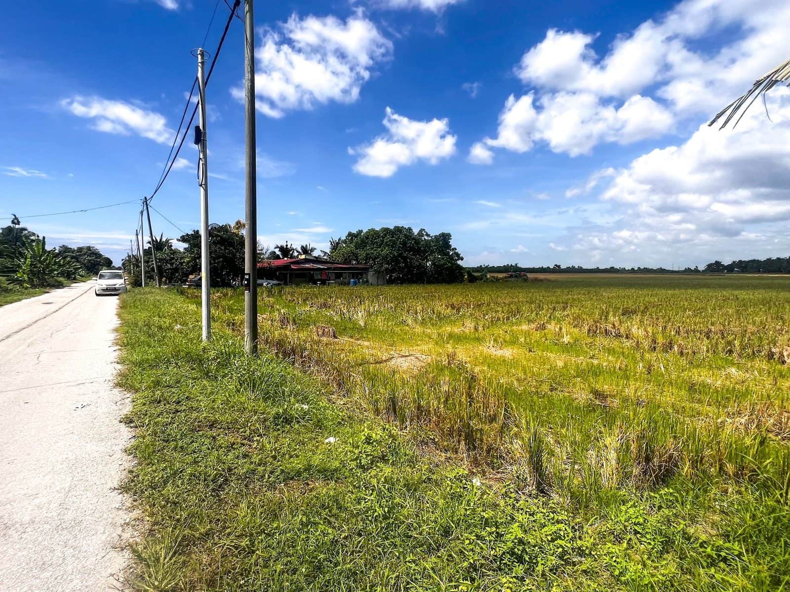 Tanah Sawah Parit 12 Sungai Nibong Sabak Bernam 3 Ekar Freehold