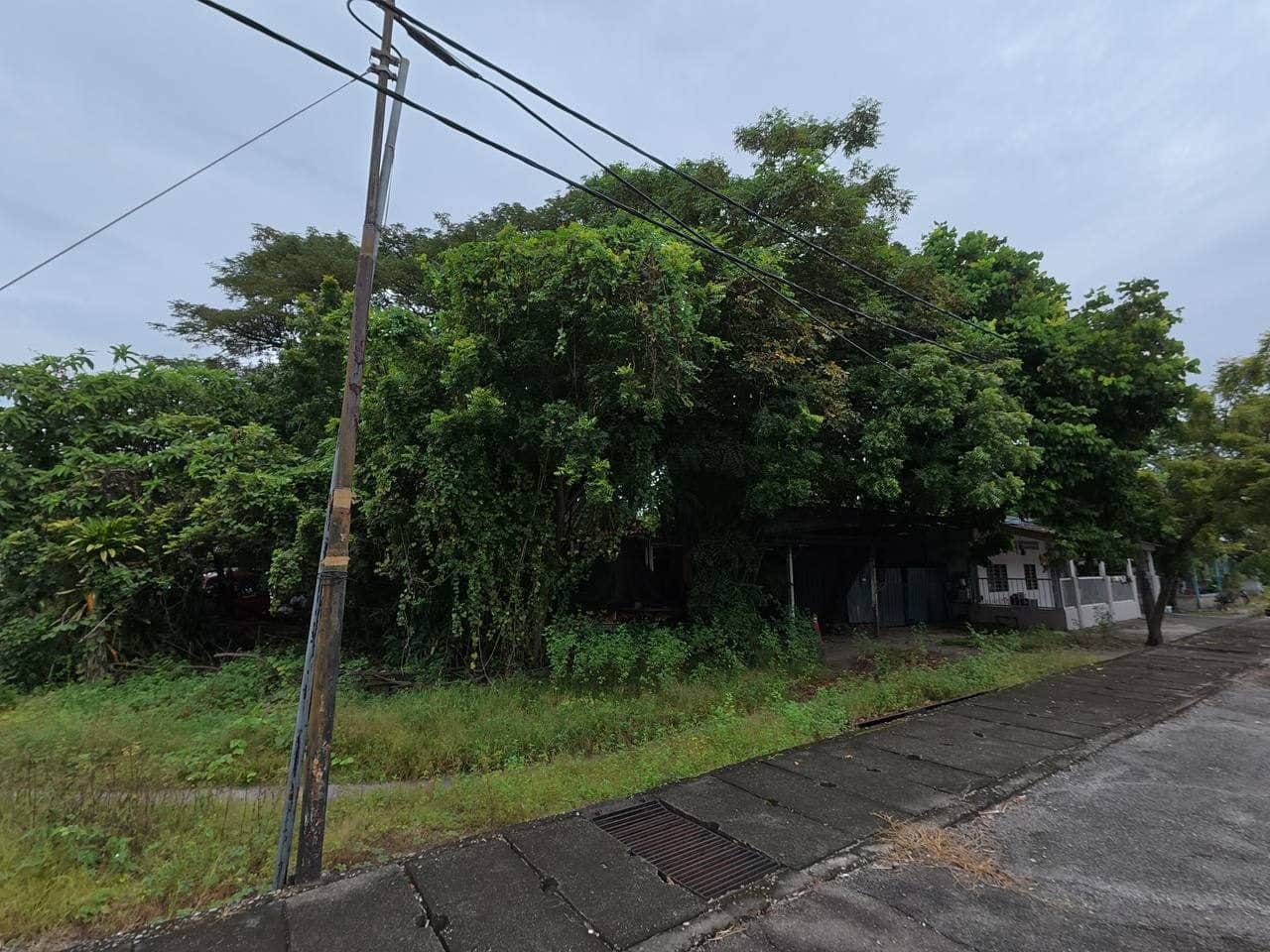 Tanah Pembangunan Jalan Heang Choon Thian Butterworth 12.19 Ekar