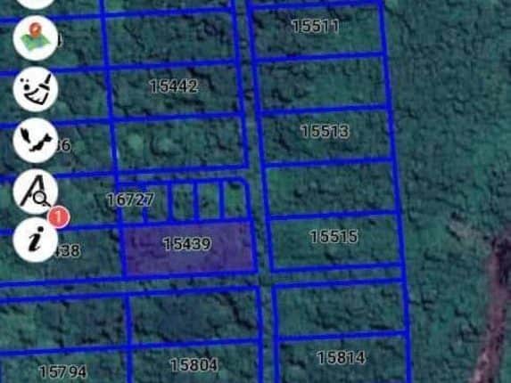 Tanah Pertanian 1 Ekar RTK Jalan Tegak Pekan Pahang