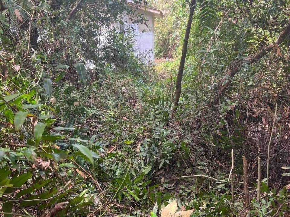 🏡 PELUANG KEEMASAN MILIKI TANAH LOT BANGLO DI BATU 3 BINJAI, KEMAMAN! 🌿✨