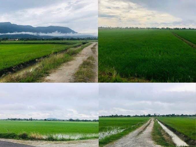 Tanah Bendang 1.6 Ekar Dulang Besar Yan Kedah Freehold