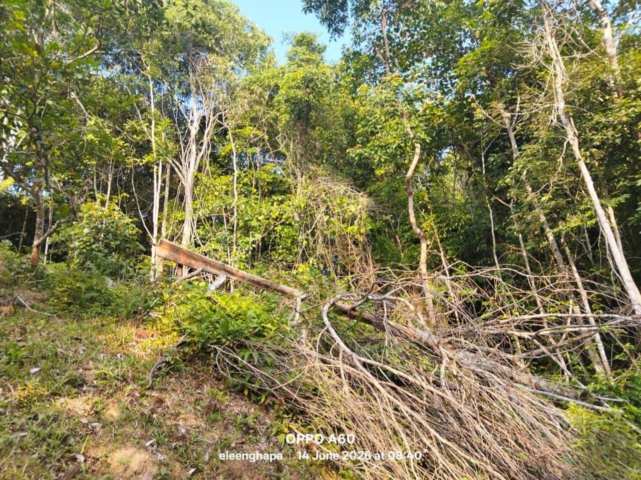 Tanah Pertanian 1.8 Ekar Temeris Kuala Pilah Negeri Sembilan