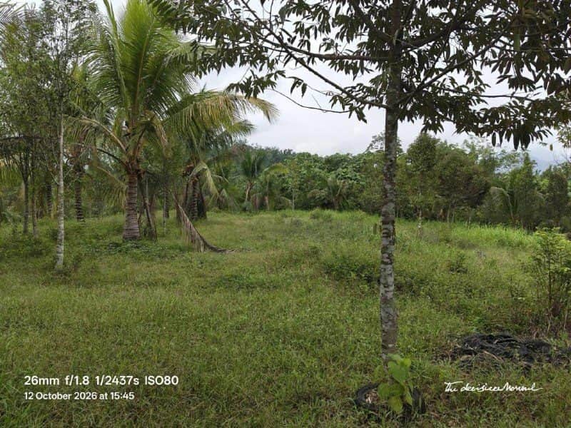 Tanah Pertanian 6.2 Ekar Untuk Disewa Kerling Hulu Selangor