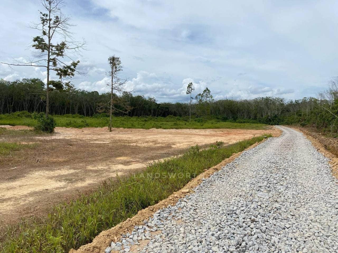 24 Lot Banglo Freehold Bukit Panau Tanah Merah