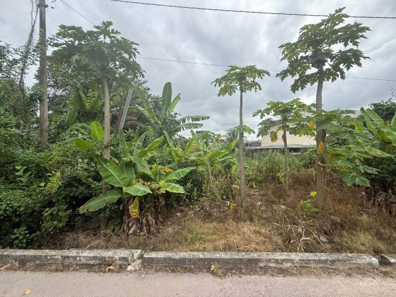Tanah Bangunan Kampung Baru Yap Tau Sah Kluang 8137 Sqft