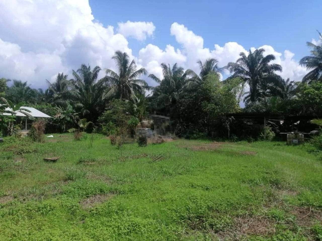 Tanah Pertanian 1 Ekar Bukit Belandung Site A Nilai Negeri Sembilan