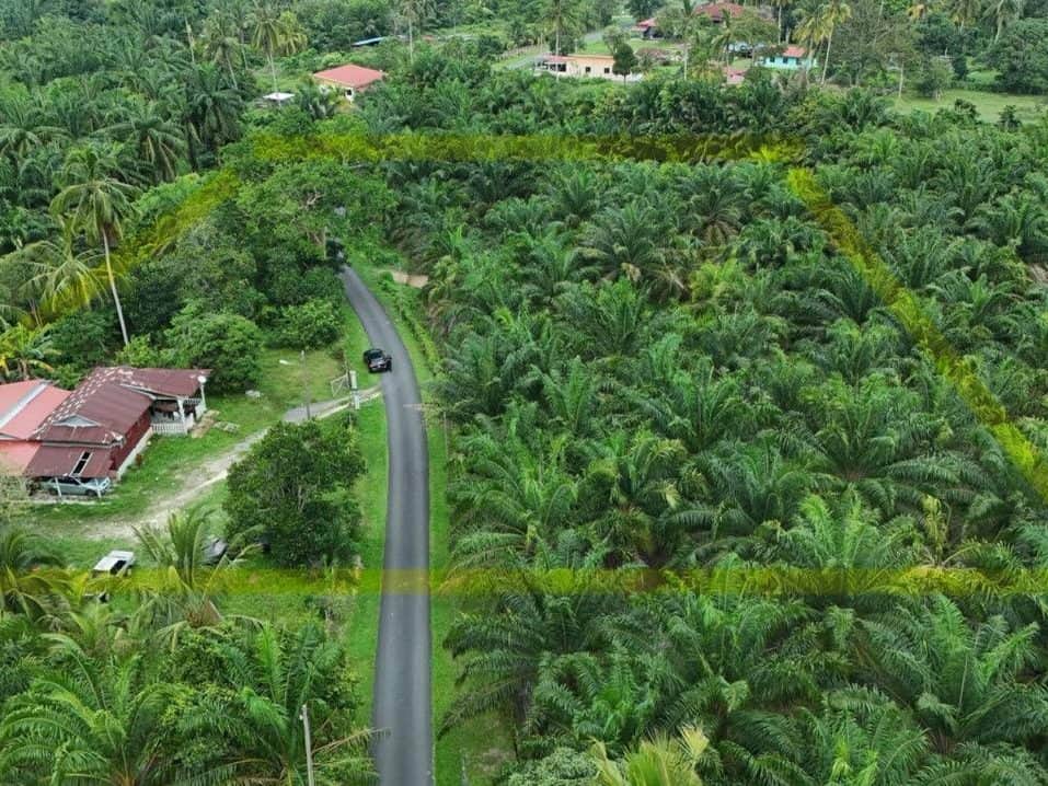 Tanah Pertanian Ulu Pondoi Tebong Tampin Negeri Sembilan 1.48 Hektar Freehold